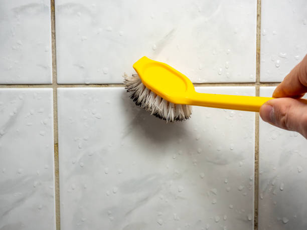 Best Attic Mold Removal  in Piney Green, NC