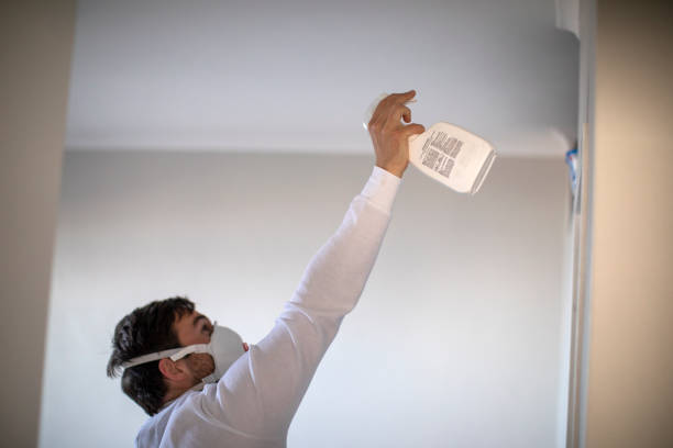 Certified Mold Removal in Piney Green, NC