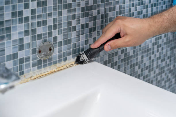 Best Local Mold Removal Service  in Piney Green, NC