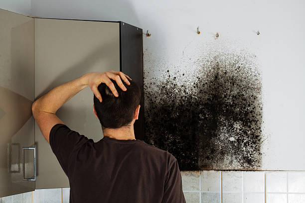 Crawl Space Mold Removal in Piney Green, NC